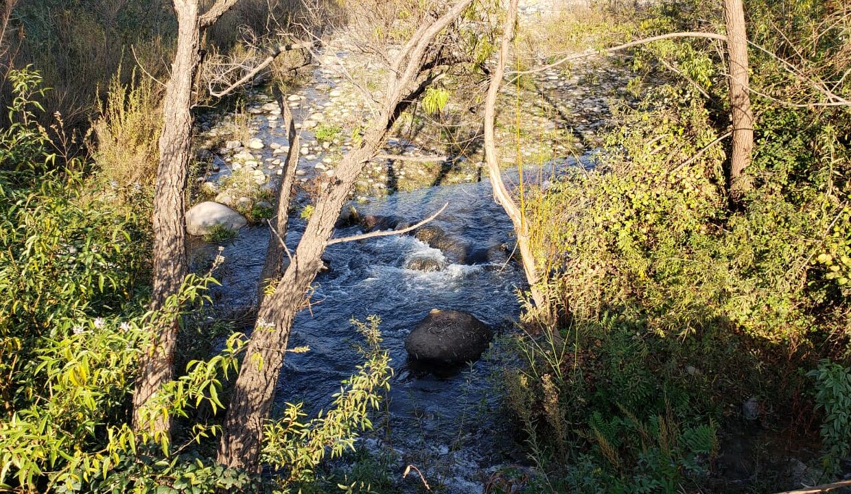 WhatsApp Image 2020-06-23 at 16.30.30 (4)