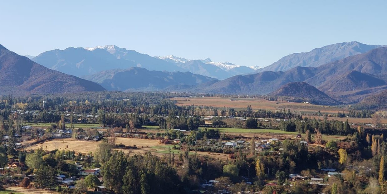 WhatsApp Image 2020-06-23 at 16.30.32 (3)