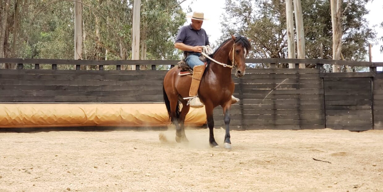 WhatsApp Image 2020-06-23 at 16.32.37 (3)