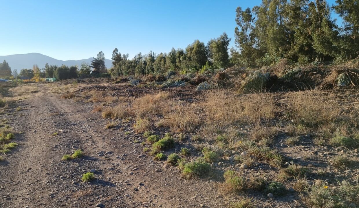 WhatsApp Image 2021-05-05 at 23.02.46 (1)