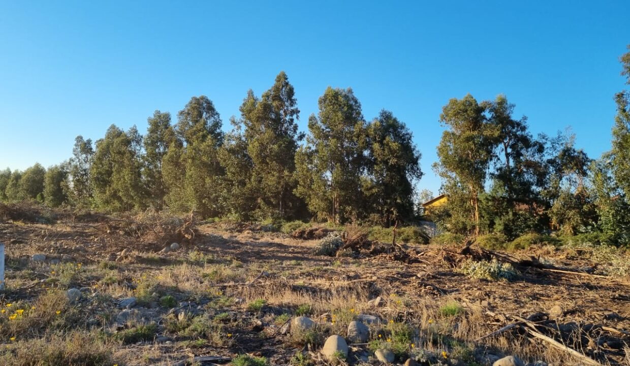 WhatsApp Image 2021-05-05 at 23.02.46 (4)