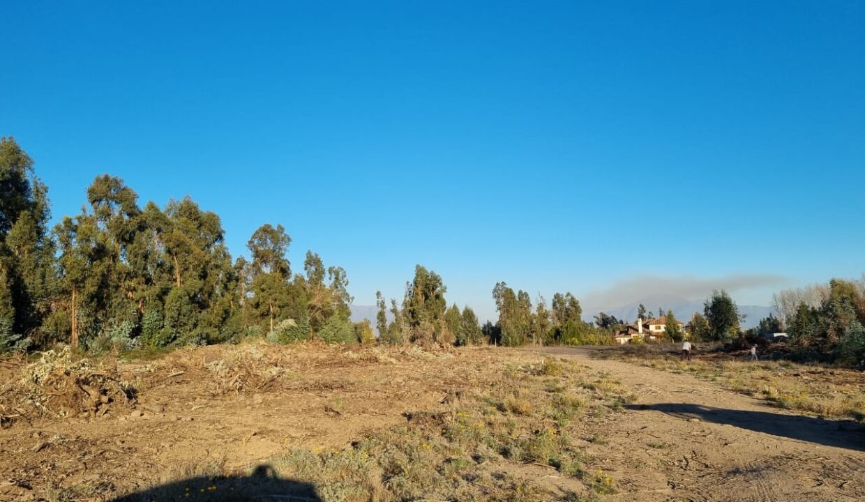 WhatsApp Image 2021-05-05 at 23.02.46 (5)