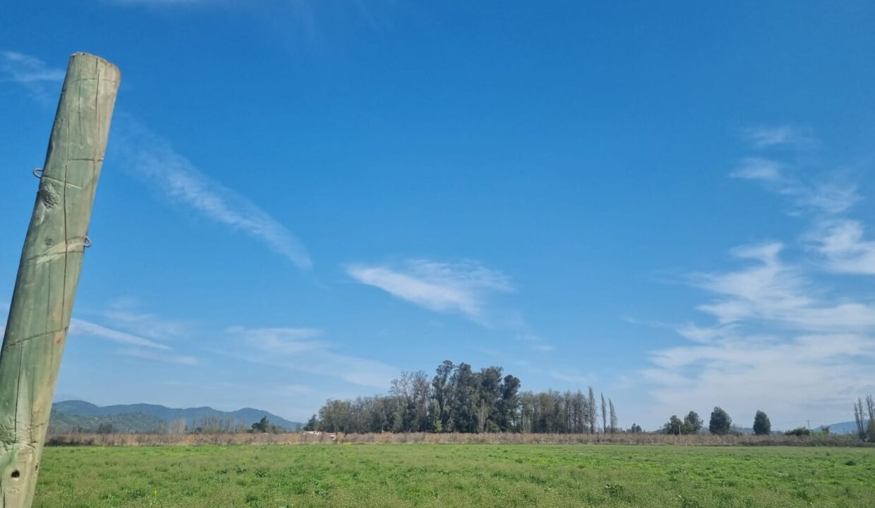 WhatsApp Image 2022-09-13 at 10.32.39 (1)