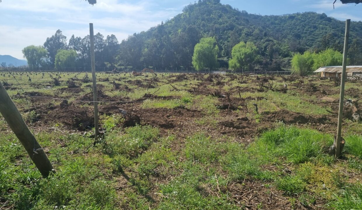 WhatsApp Image 2022-09-13 at 10.32.39