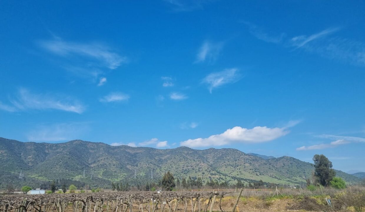 WhatsApp Image 2022-09-13 at 10.32.39 (2)