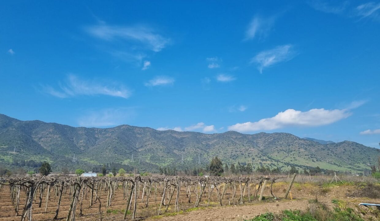 WhatsApp Image 2022-09-13 at 10.32.40