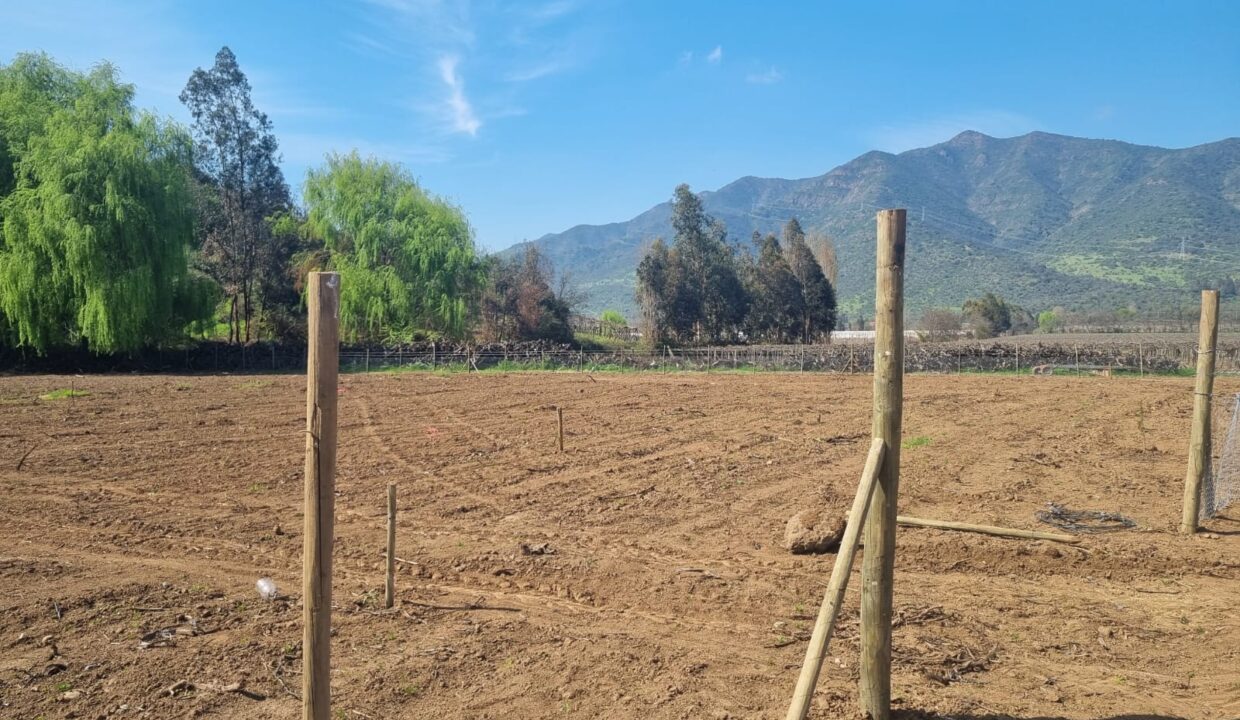 WhatsApp Image 2022-09-13 at 10.32.59 (2)