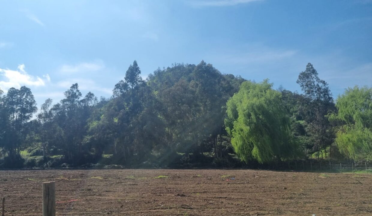 WhatsApp Image 2022-09-13 at 10.33.01 (1)