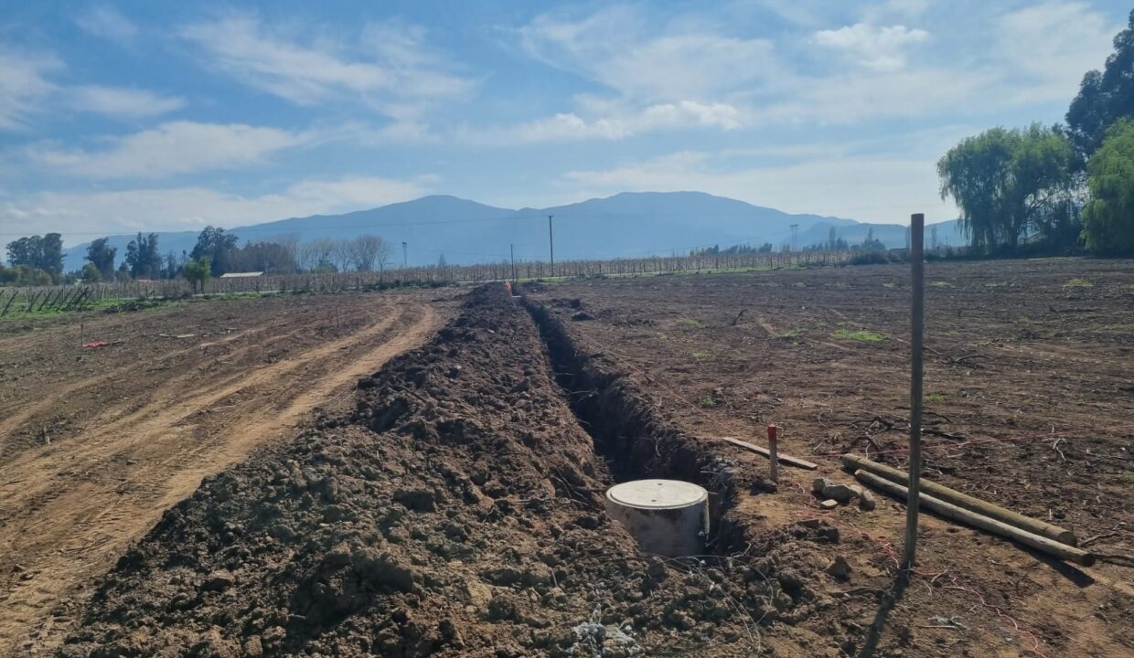 WhatsApp Image 2022-09-13 at 10.33.01