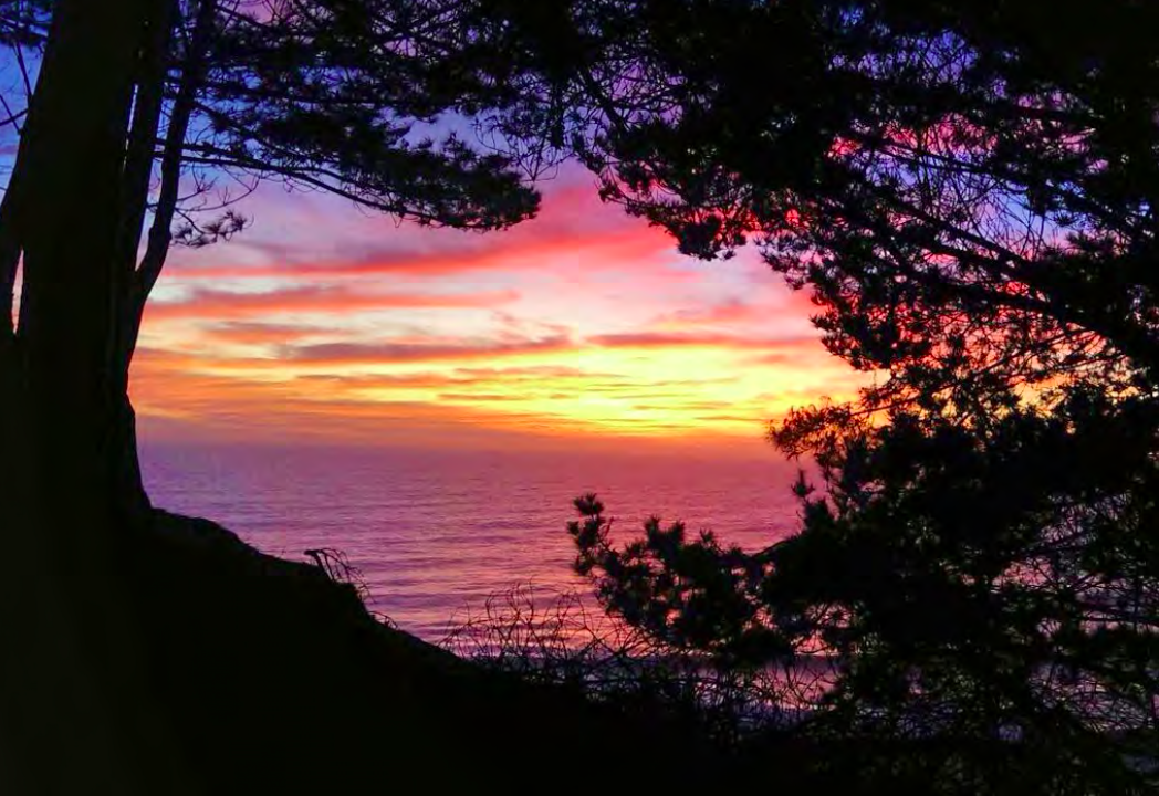 Captura de Pantalla 2023-04-17 a la(s) 11.19.31