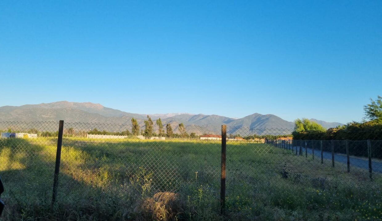 WhatsApp Image 2022-04-14 at 5.28.57 PM (1)