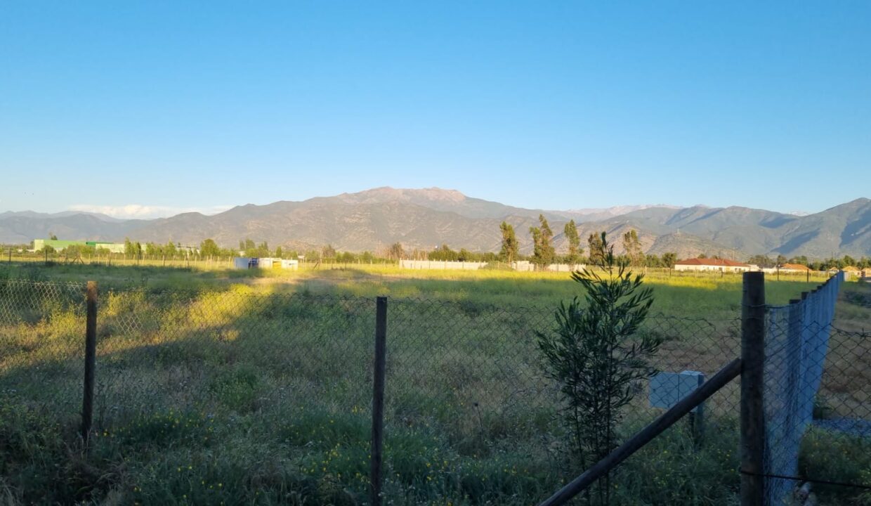 WhatsApp Image 2022-04-14 at 5.28.58 PM (3)