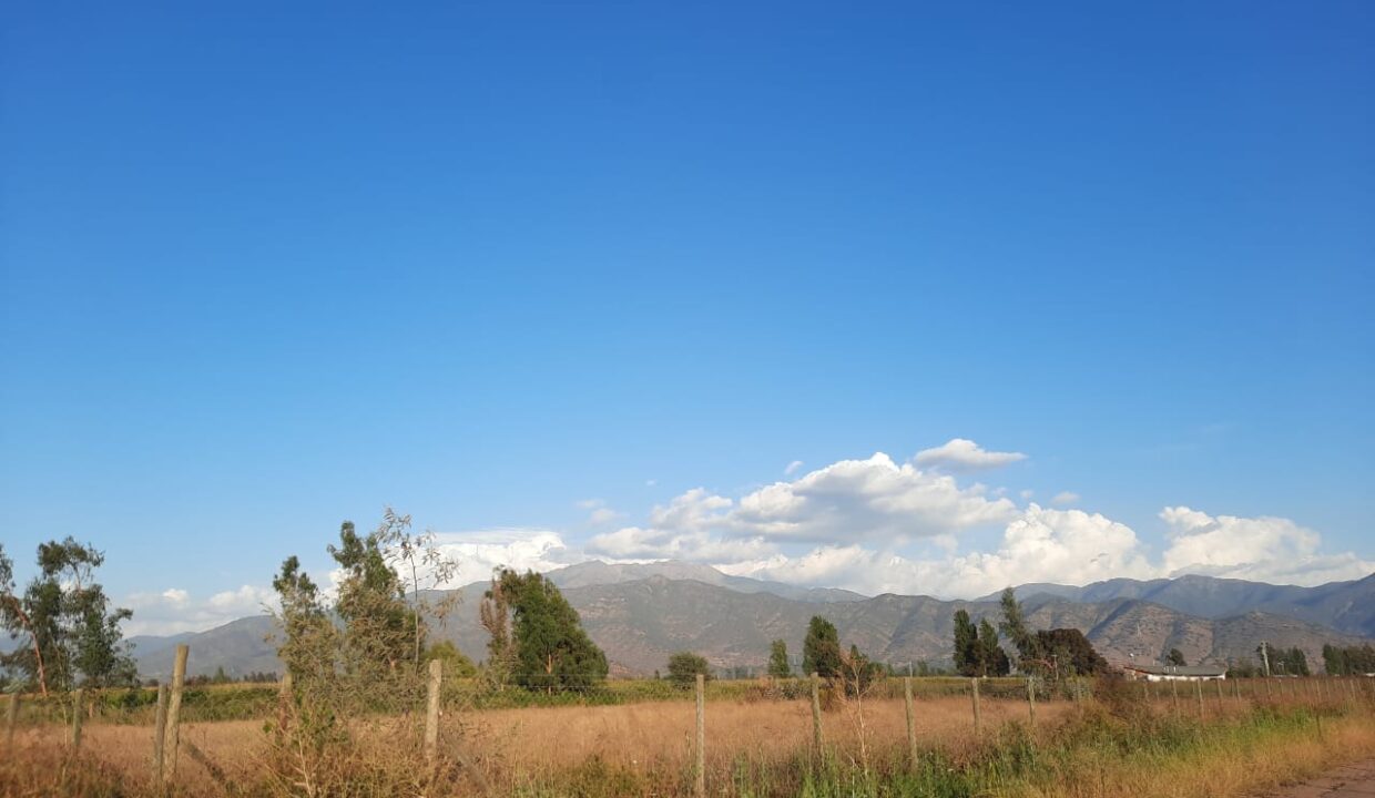 WhatsApp Image 2023-05-19 at 12.49.34 (1)