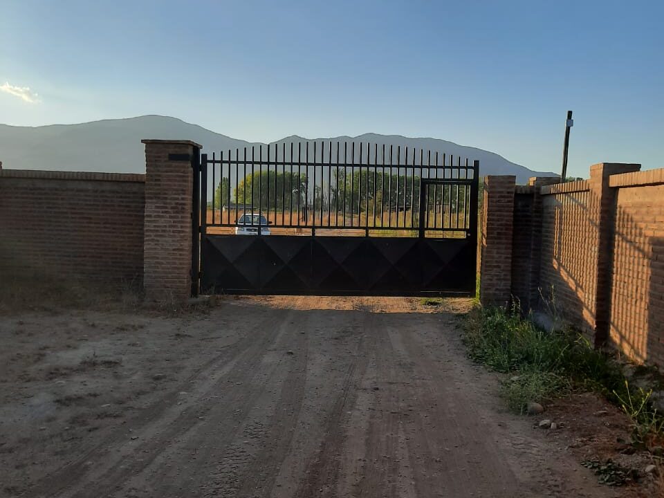 WhatsApp Image 2023-05-19 at 12.49.34