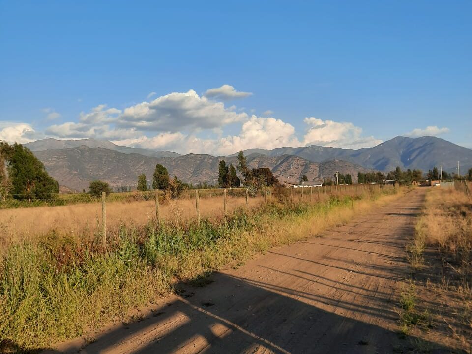 WhatsApp Image 2023-05-19 at 12.49.35