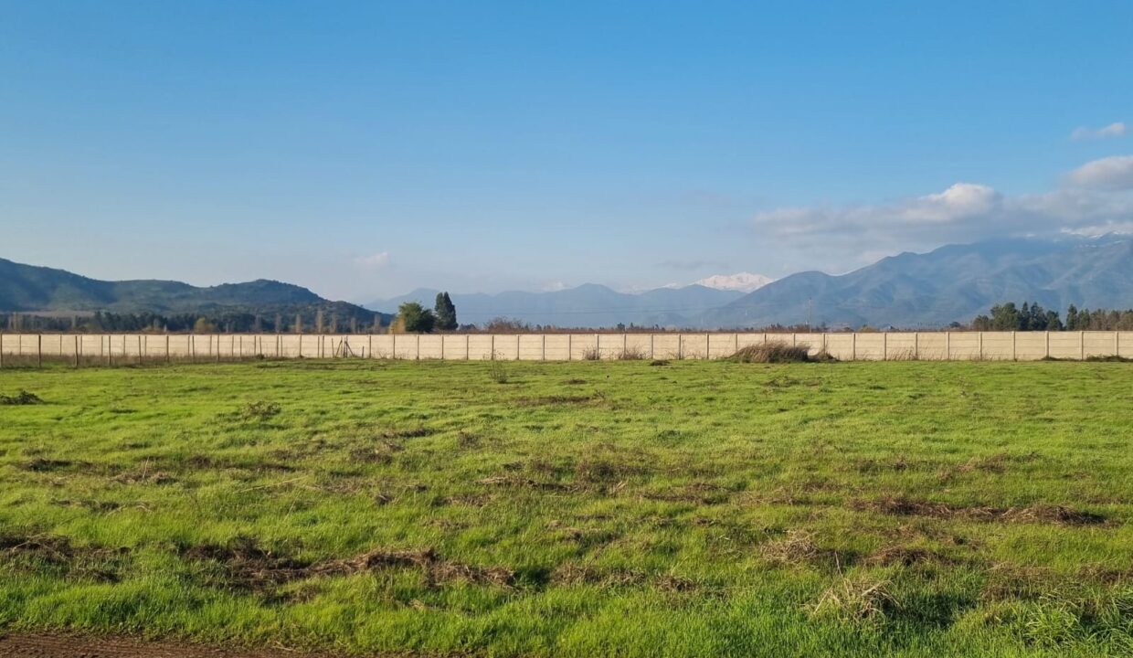 WhatsApp Image 2024-06-27 at 08.04.22