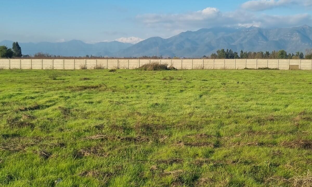 WhatsApp Image 2024-06-27 at 08.04.23 (1)