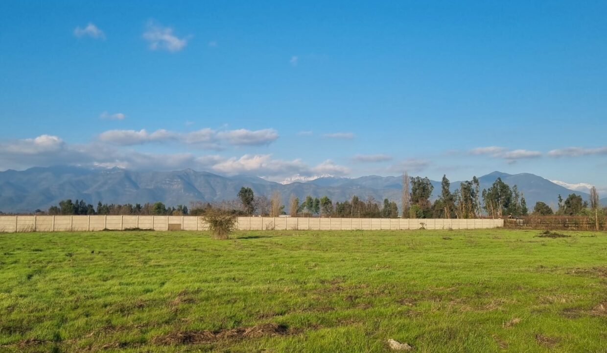 WhatsApp Image 2024-06-27 at 08.04.23