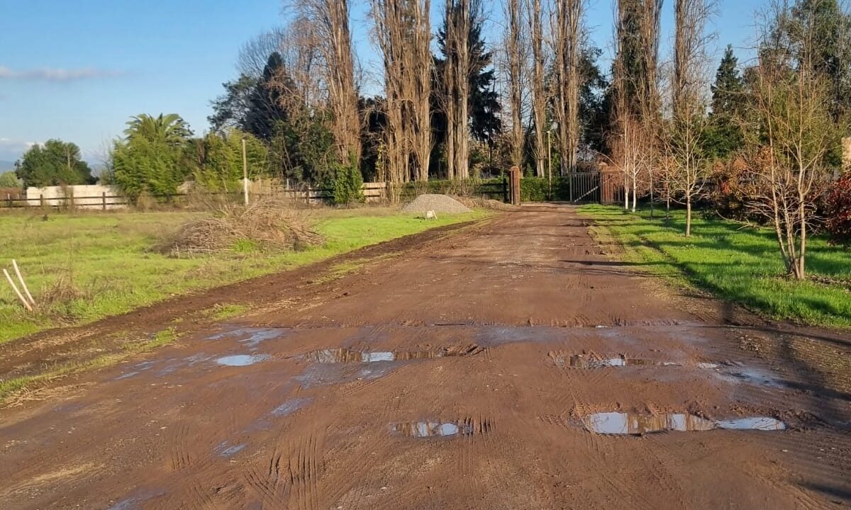 WhatsApp Image 2024-06-27 at 08.04.24