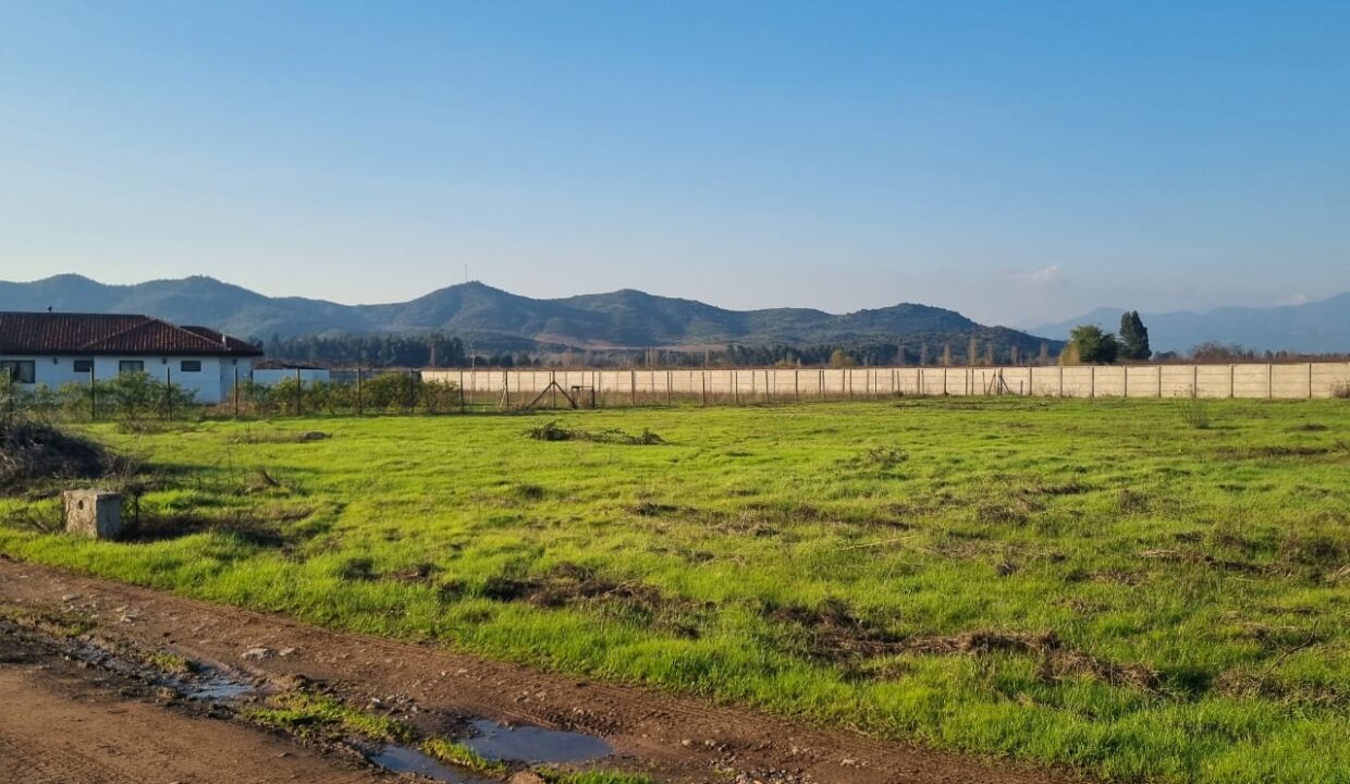 WhatsApp Image 2024-06-27 at 08.04.58