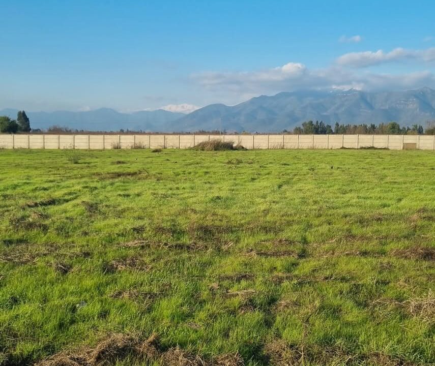 459075859_1072303071564884_3196548515463788681_n