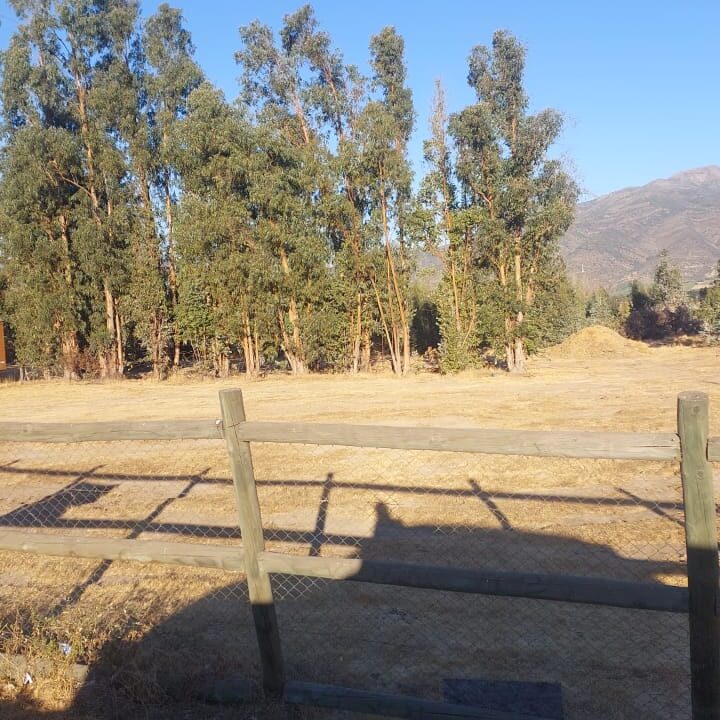 WhatsApp Image 2025-03-21 at 12.26.24 PM